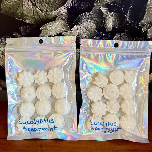 NEW 2-Pc WAX MELTS Bath & Body Works Candle Wax Melts - EUCALYPTUS SPEARMINT - Picture 1 of 2